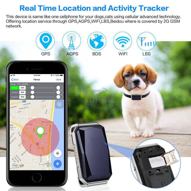 Zgarda inteligenta GPS pentru caini - localizare in timp real si siguranta 24/7